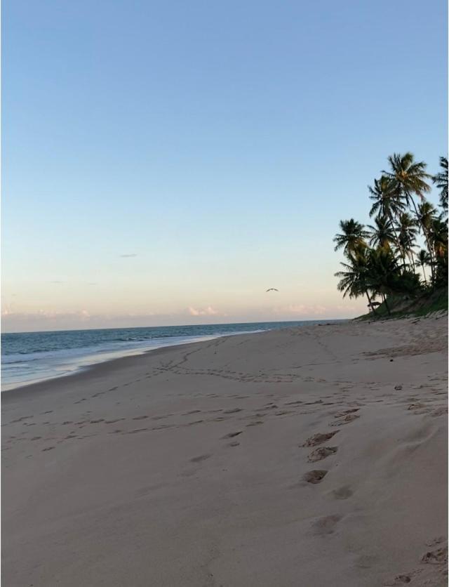 Praia Do Forte- Iberostar- Ap Luxuoso 3 Qts Mata de São João Exterior foto